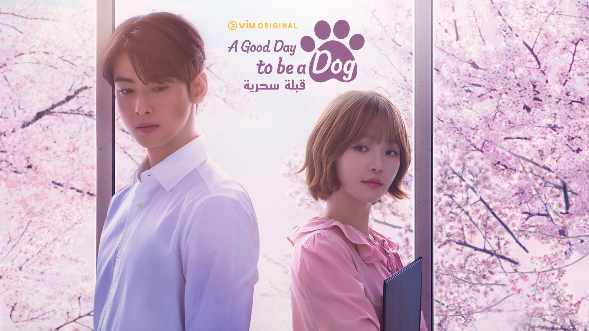 A Good Day To Be A Dog｜Episode 2｜Korean Original