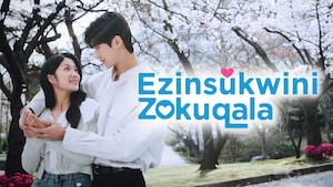 Ezinsukwini Zokuqala