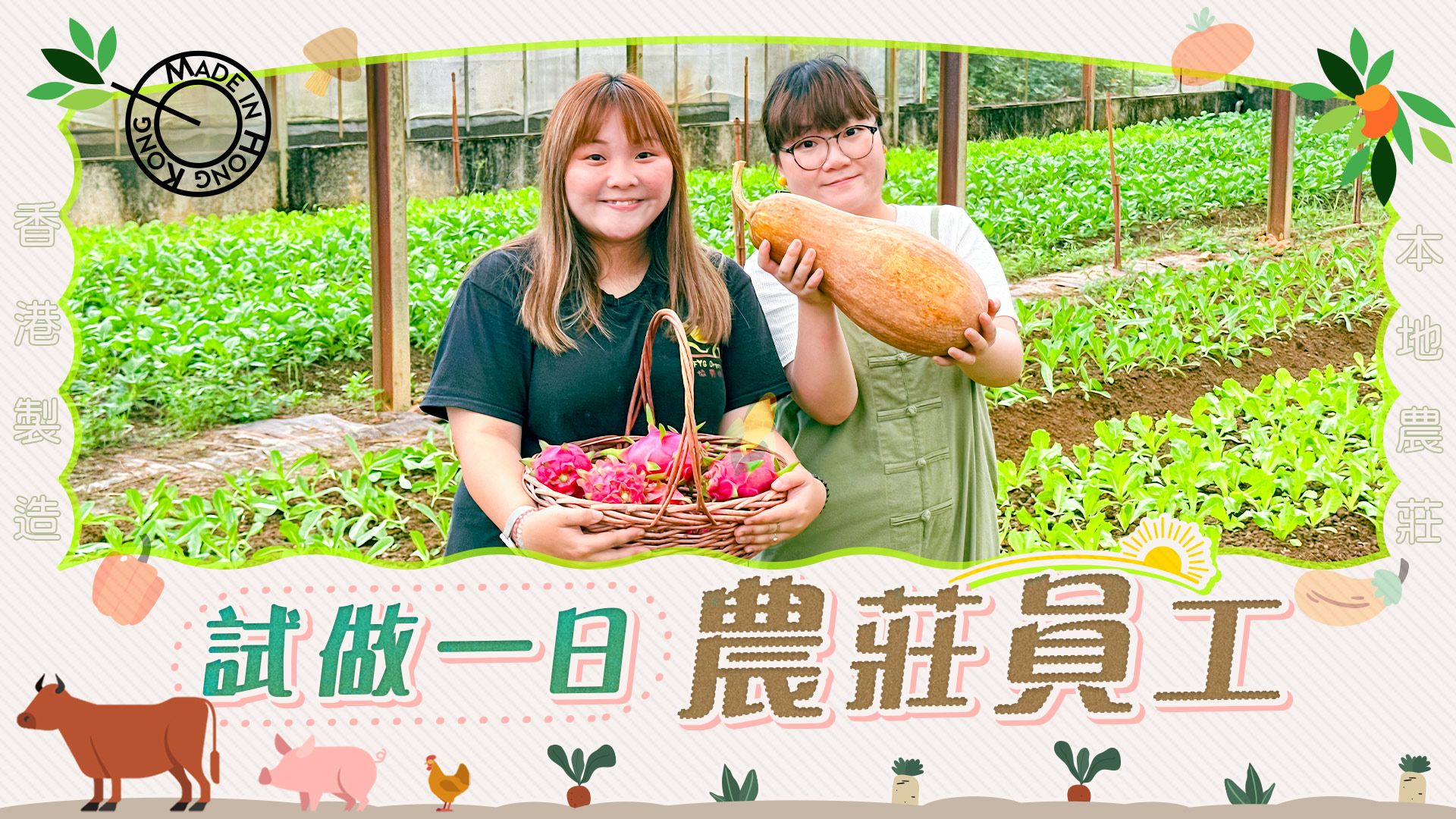 留港好去處︱參觀香港15萬平方呎有機農莊 介紹港產農作物 香港都有仙人掌園！｜Viu Food | Viu 香港