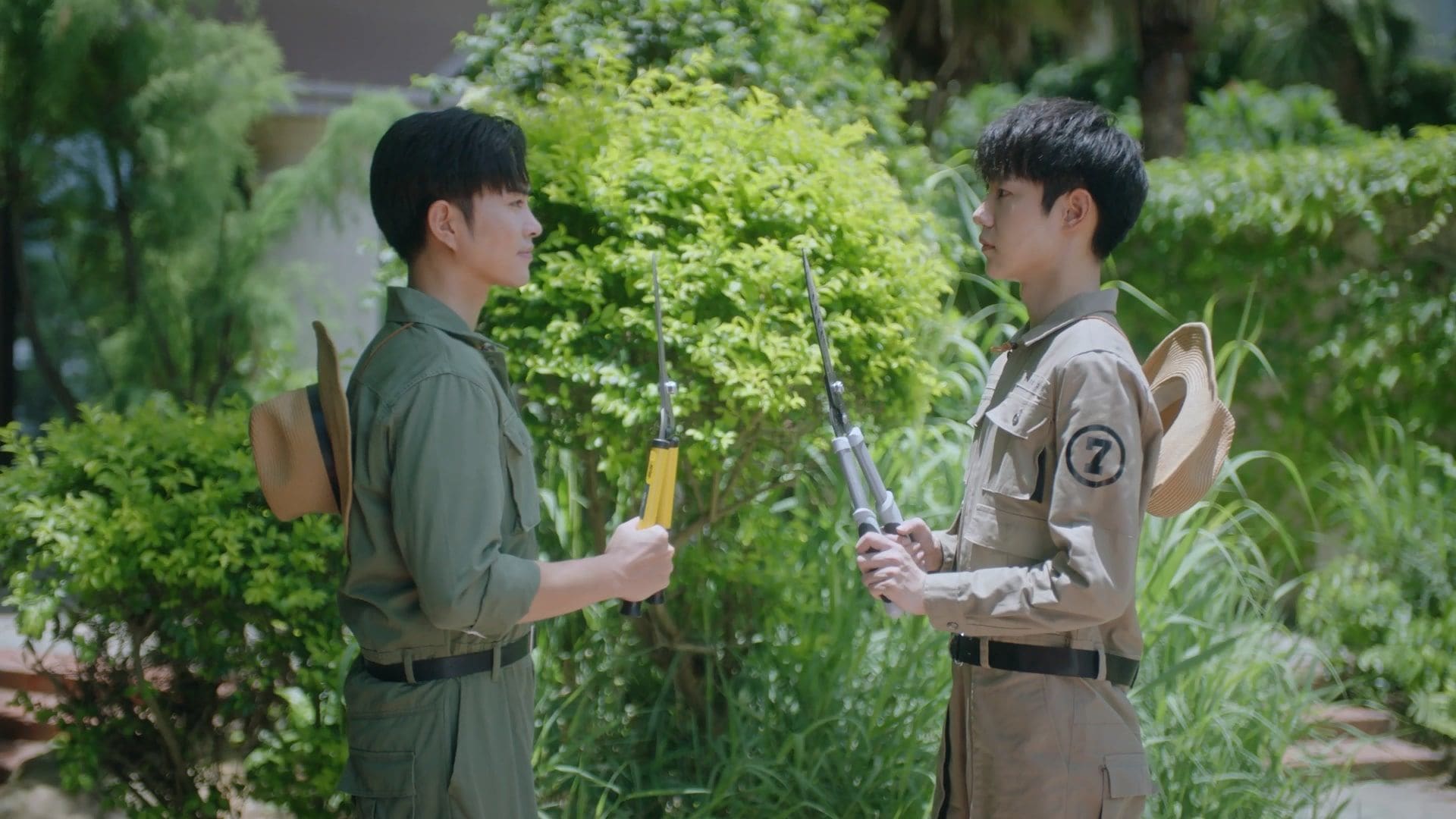 Don t Be Shy Episode 10 Chinese Dramas