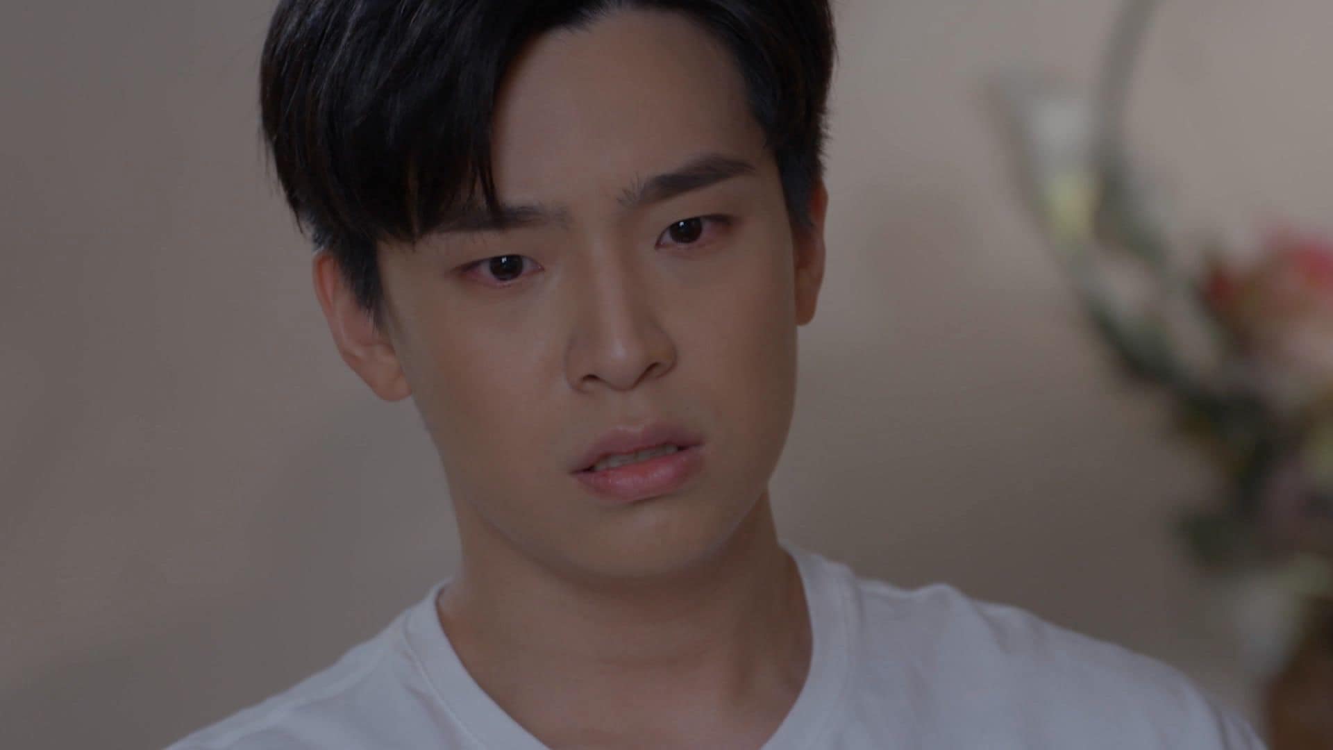 THE LAST PROMISE BLAZER visual data 6