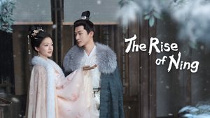 The Rise of Ning