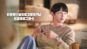 Reborn Rich