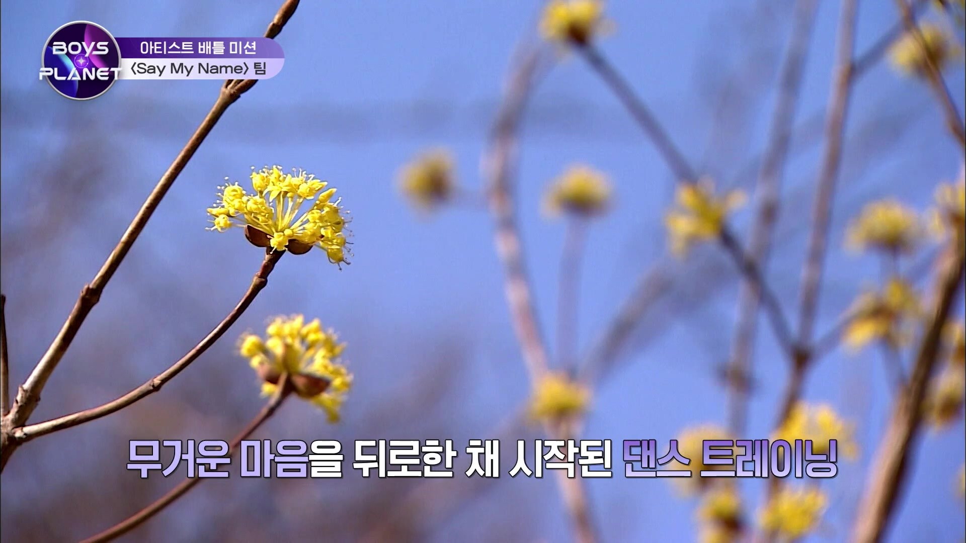 BOYS 10｜Korean Variety