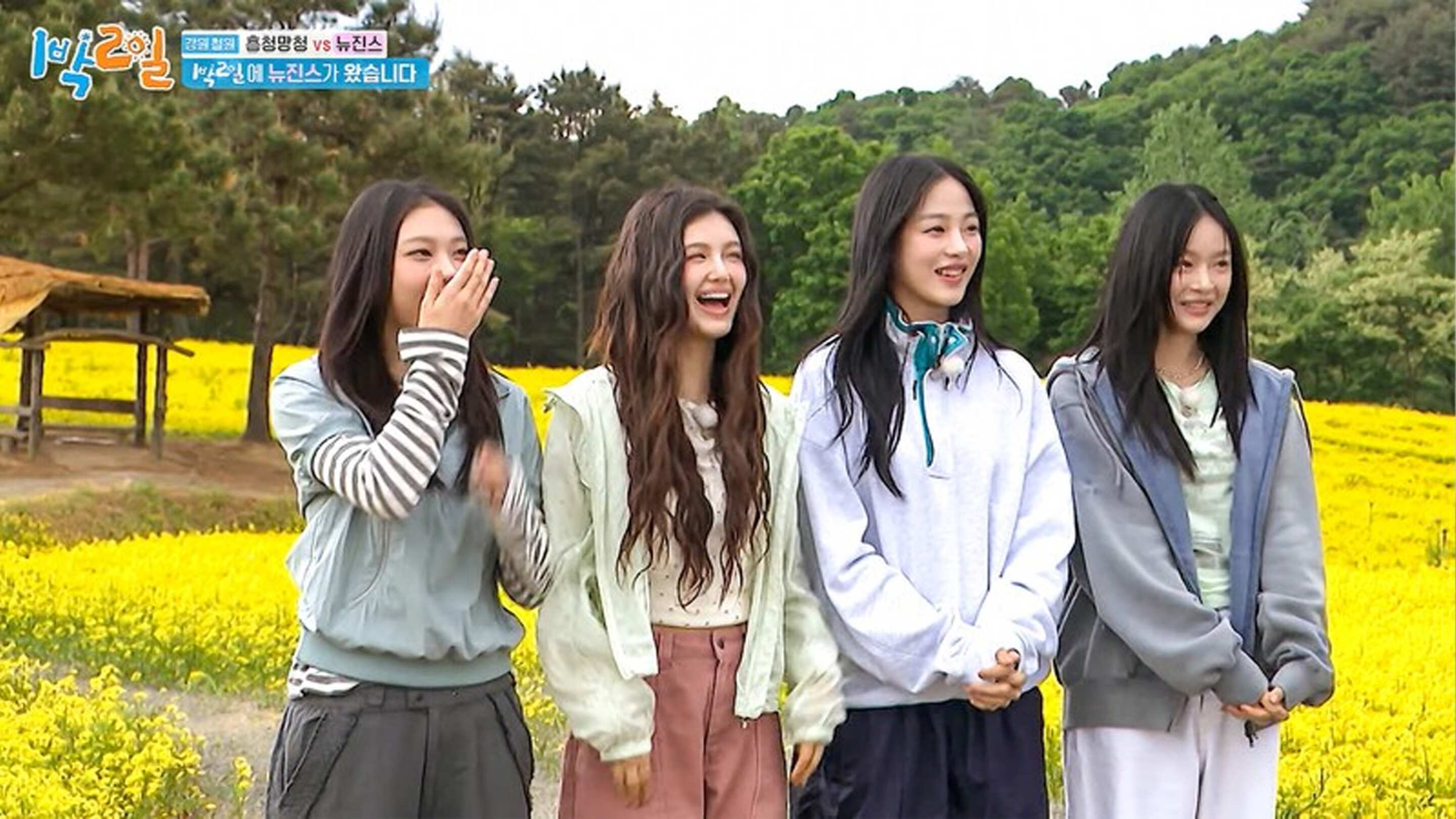 2 Days 1 Night (Season 4) (2024)｜Episode 229｜Variety Show Korea | Viu ...